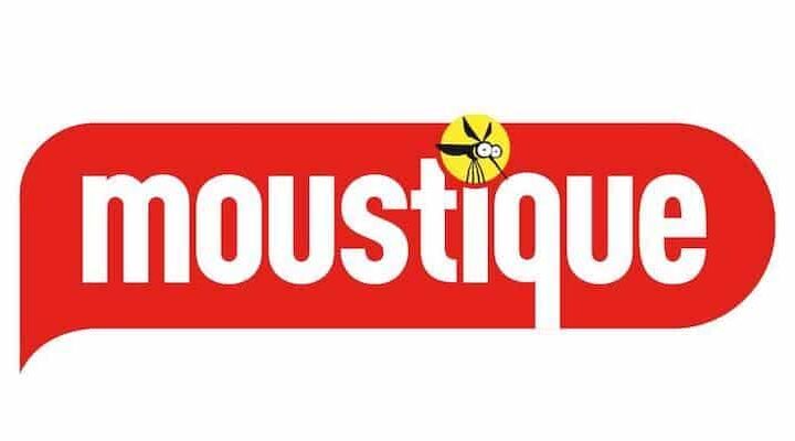 moustique