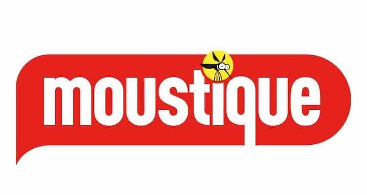moustique
