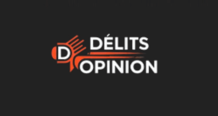 delits d opinion