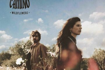 Grand Camino Wildflowers