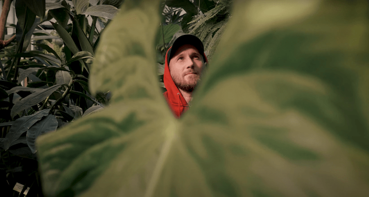 Julien ma dit Les giboulees