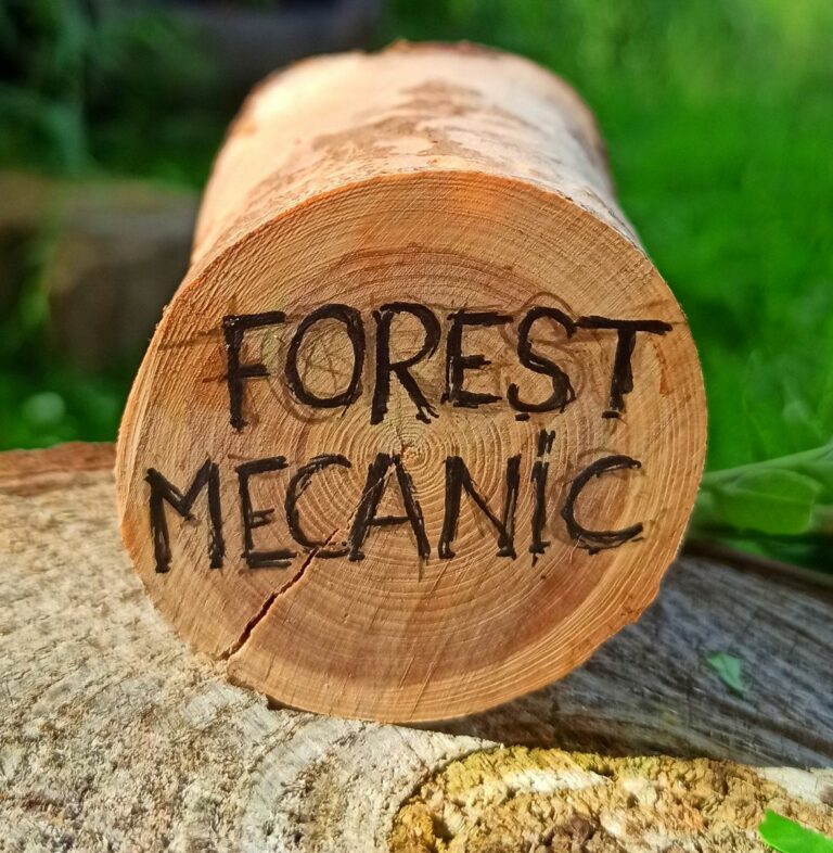 forest mecanic