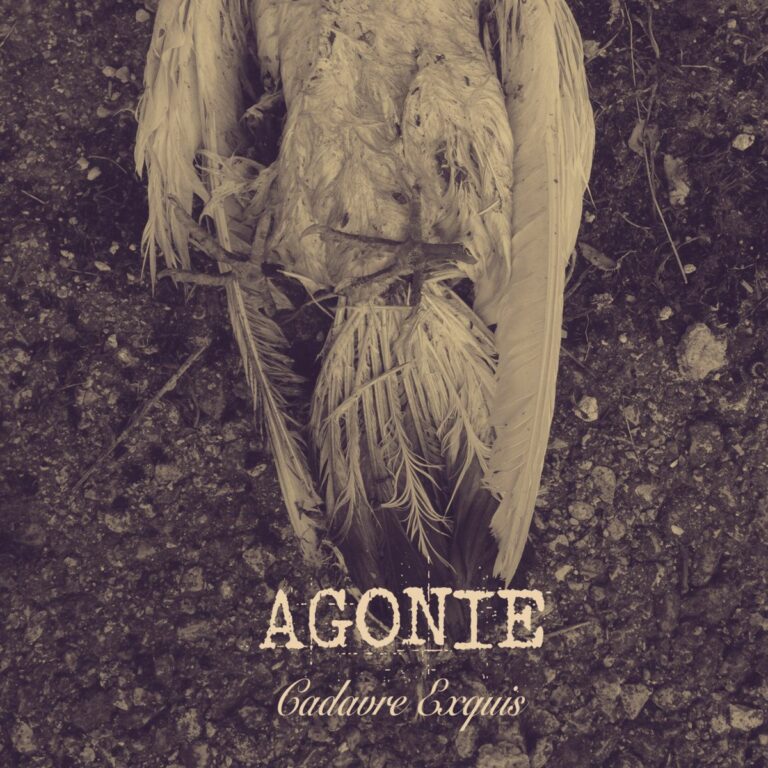 agonie Cadavre Exquis