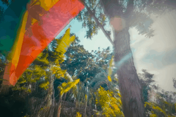 Derajah Spirit Revolution Solid As A Rock