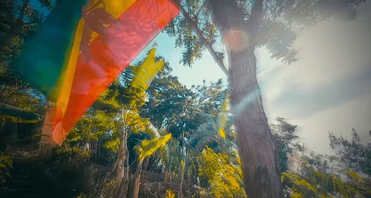 Derajah Spirit Revolution Solid As A Rock