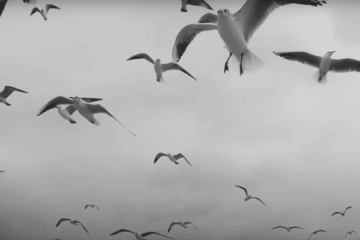 FRAGILE FIGURES Post Industrial Nightmare