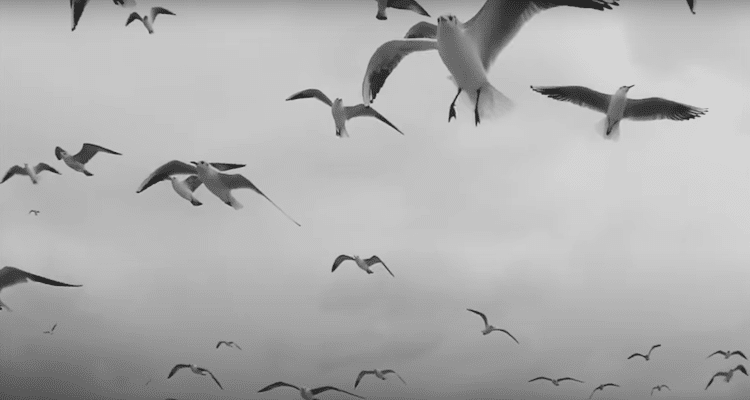 FRAGILE FIGURES Post Industrial Nightmare