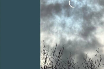 yoghill Face au vent