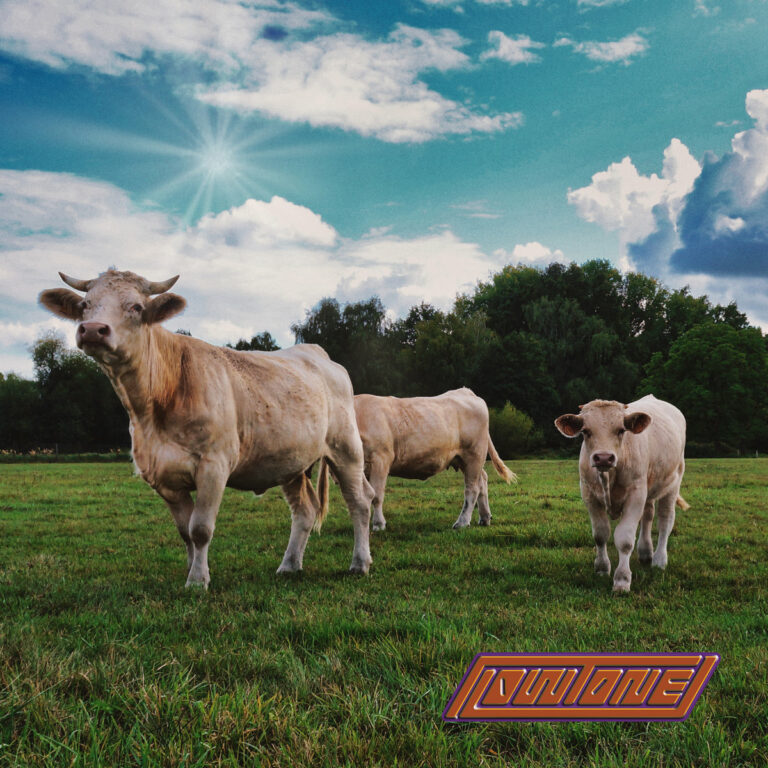 LOWTONE Voltage Fuel