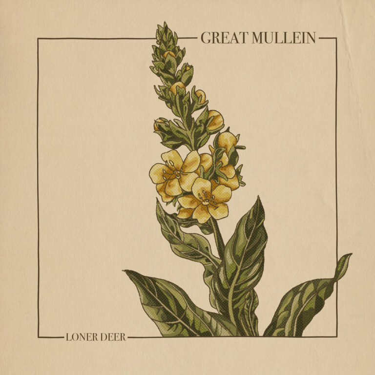 loner deer great mullei