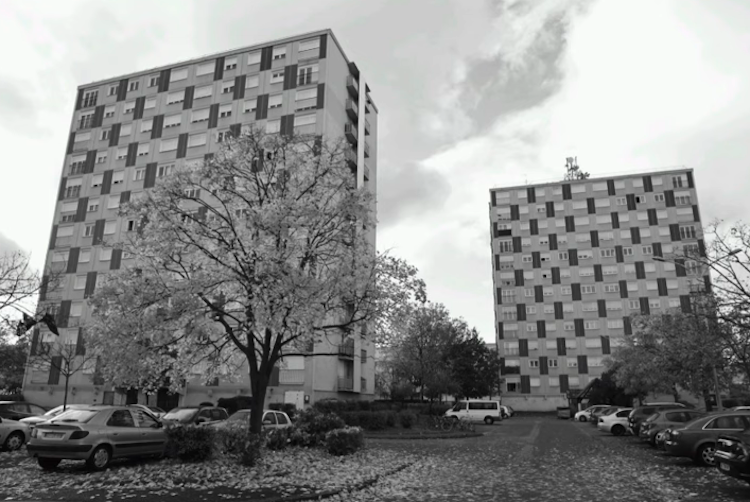 Murat Prendre l'oseille