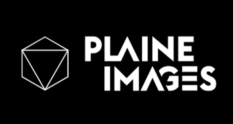paline images logo