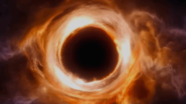 No Comment Don't believe