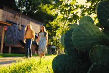 Two Magnets A Hillbilly Elegy