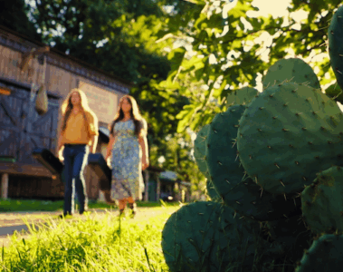 Two Magnets A Hillbilly Elegy