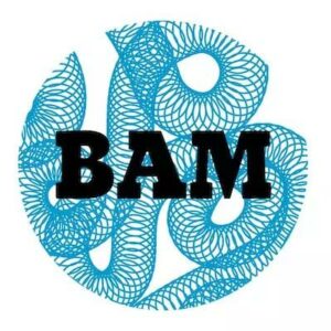 BAM Metz logo.jpg