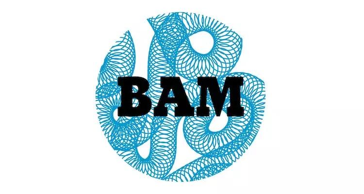 BAM Metz logo.jpg