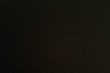 Rien dans le crâne