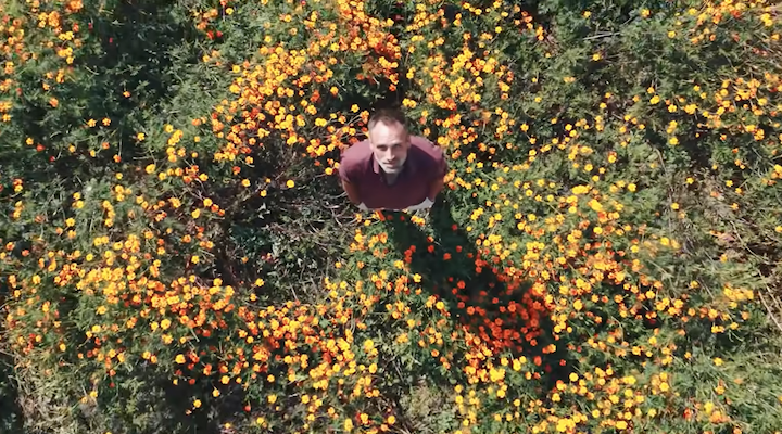 PAUL D'AMOUR AU JARDIN DES DÉLICES