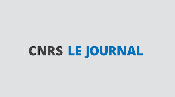 cnrs le journal le logo