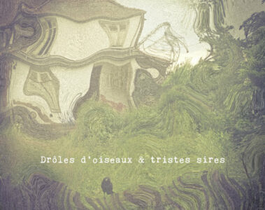 LOKI X GLUANT Drôles d'oiseaux & tristes sires
