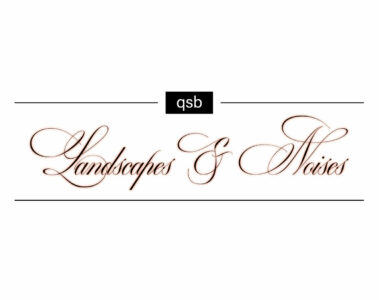 qsb Landscapes & Noises
